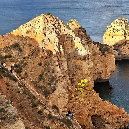 Amazing With Ocean View *